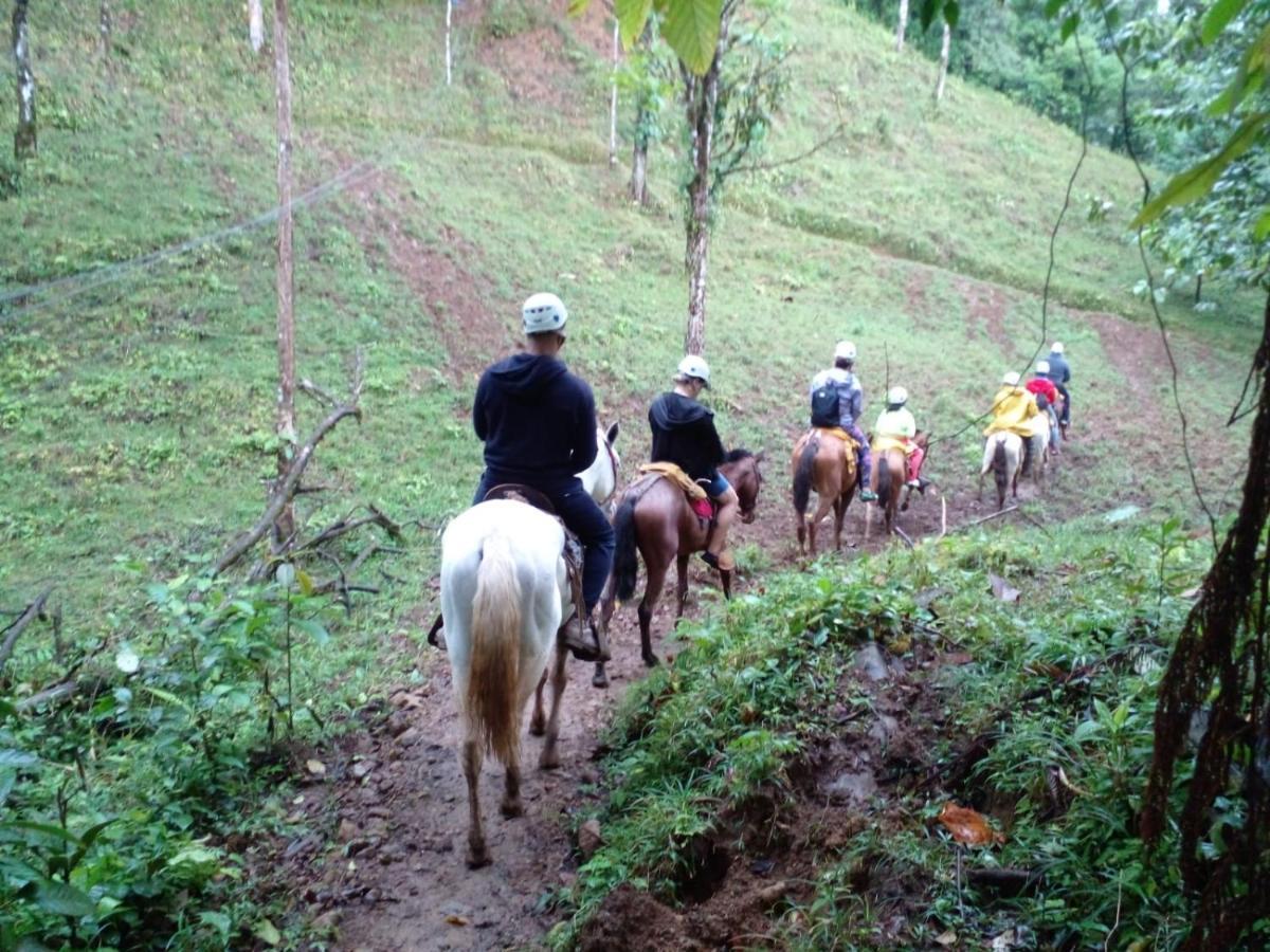 Hotel Rio Celeste To Know ภายนอก รูปภาพ