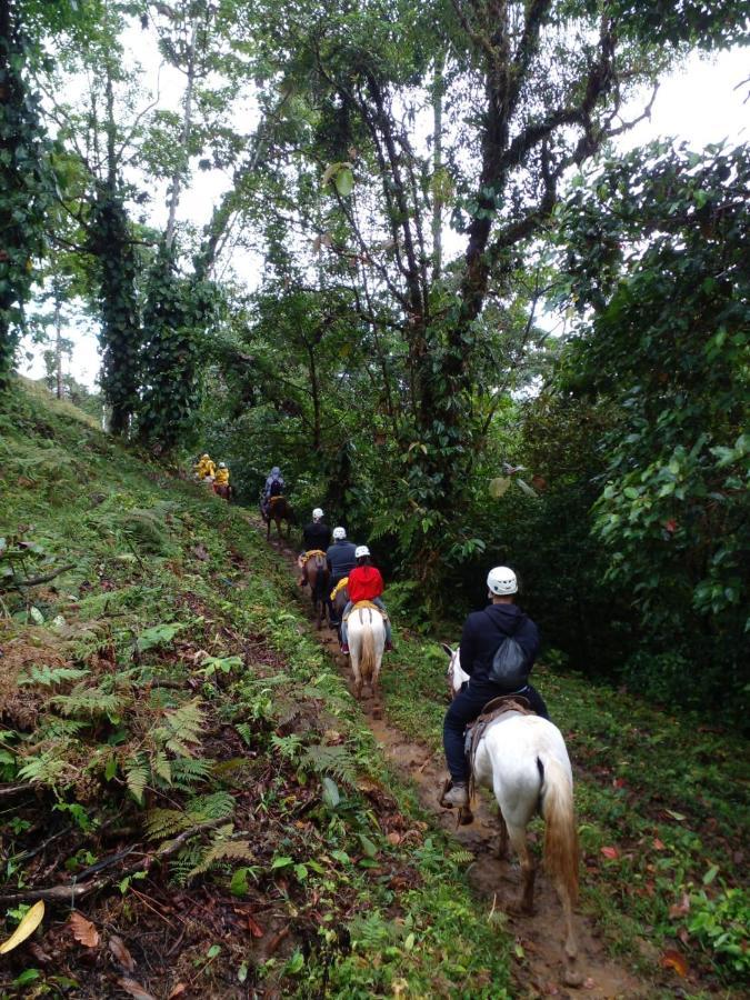 Hotel Rio Celeste To Know ภายนอก รูปภาพ